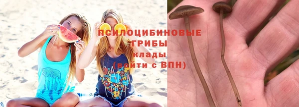 прущая мука Лихославль