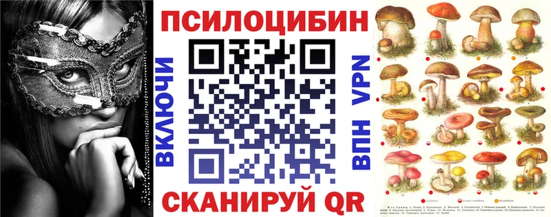 ОМГ ОМГ как зайти  Приволжский  Псилоцибиновые грибы ЛСД 
